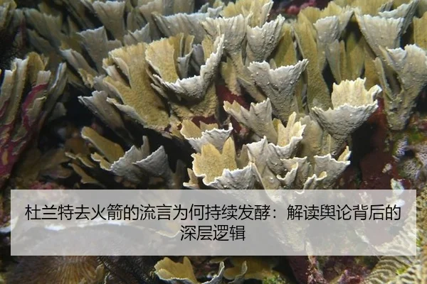 du-lan-te-qu-huo-jian-de-liu-yan-wei-he-chi-xu-fa-jiao-jie-du-yu-lun-bei-hou-de-shen-ceng-luo-ji-2-970.jpg