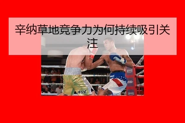 辛纳草地竞争力为何持续吸引关注 | ayx